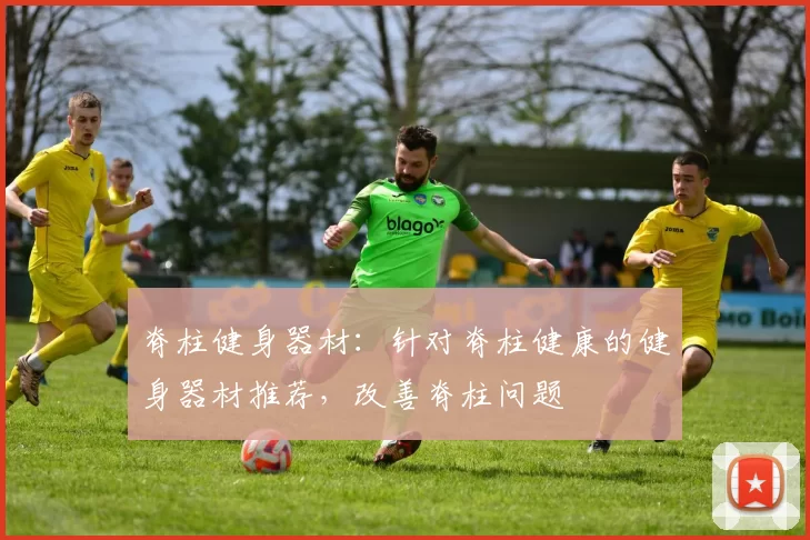脊柱健身器材：针对脊柱健康的健身器材推荐，改善脊柱问题