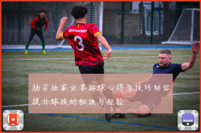 杨芳独家分享排球心得与技巧助你提升球技的秘诀与经验