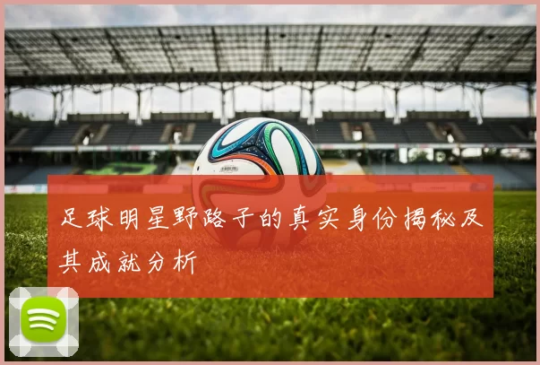 足球明星野路子的真实身份揭秘及其成就分析