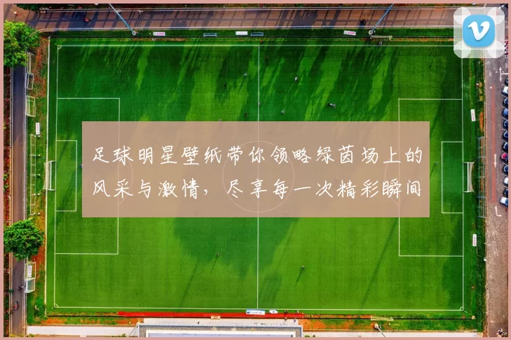 足球明星壁纸带你领略绿茵场上的风采与激情，尽享每一次精彩瞬间的视觉盛宴