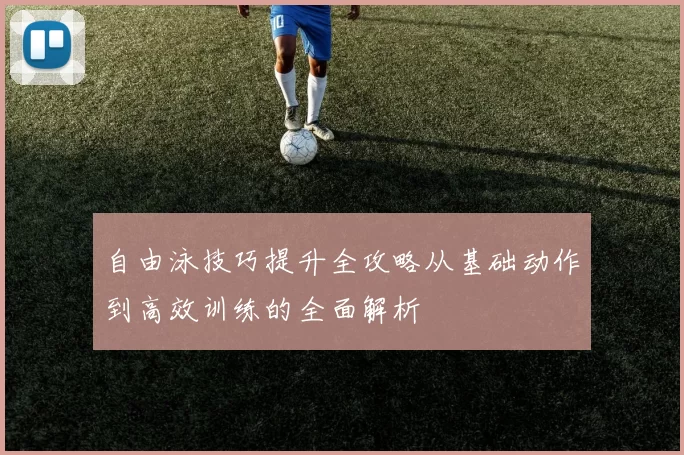 自由泳技巧提升全攻略从基础动作到高效训练的全面解析