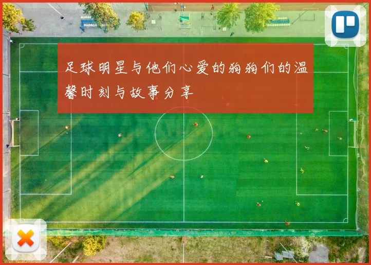 足球明星与他们心爱的狗狗们的温馨时刻与故事分享