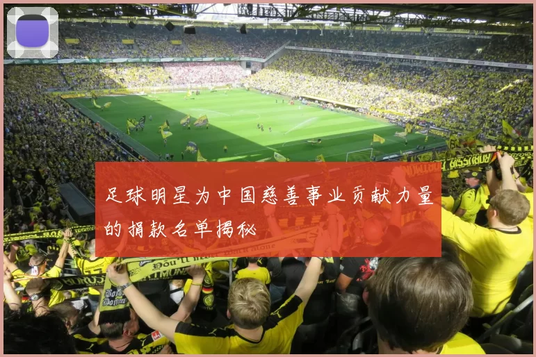 足球明星为中国慈善事业贡献力量的捐款名单揭秘