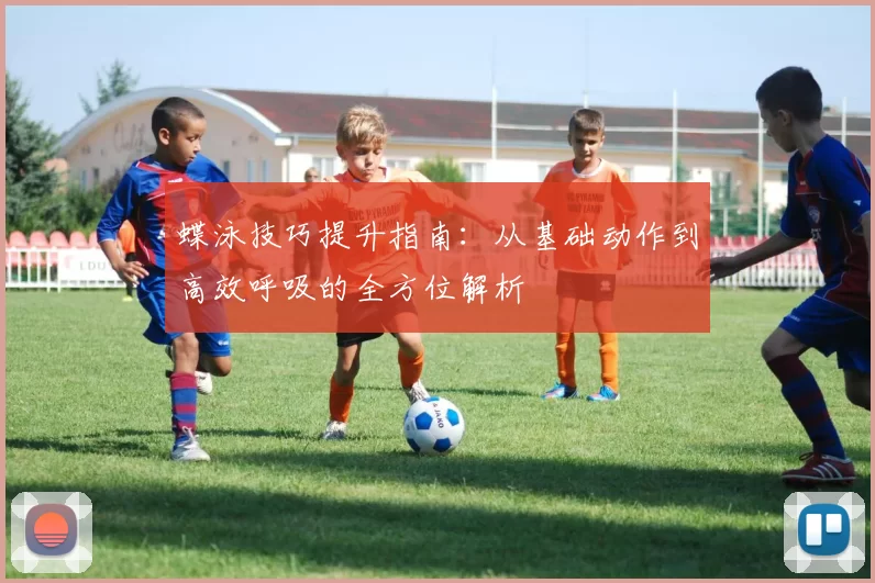 蝶泳技巧提升指南：从基础动作到高效呼吸的全方位解析