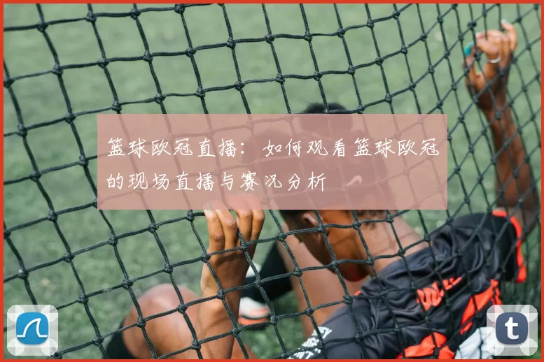 篮球欧冠直播：如何观看篮球欧冠的现场直播与赛况分析