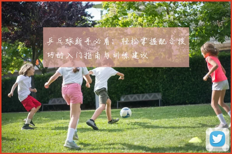 乒乓球新手必看：轻松掌握配合技巧的入门指南与训练建议
