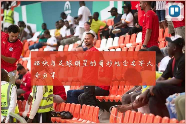 猫咪与足球明星的奇妙结合名字大全分享
