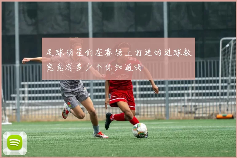 足球明星们在赛场上打进的进球数究竟有多少个你知道吗