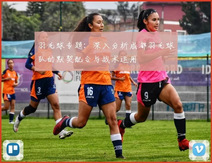 羽毛球专题：深入分析成都羽毛球队的默契配合与战术运用
