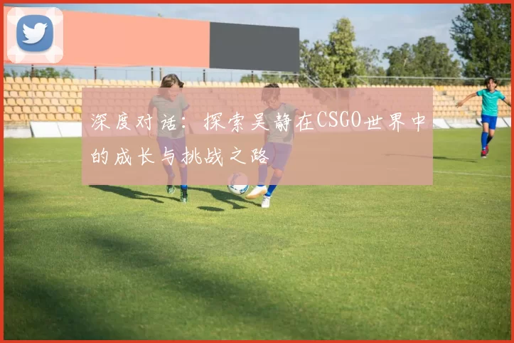 深度对话：探索吴静在CSGO世界中的成长与挑战之路