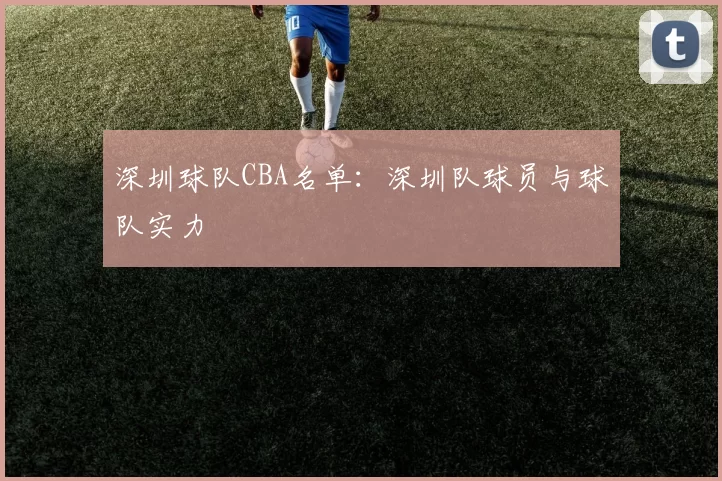 深圳球队CBA名单：深圳队球员与球队实力