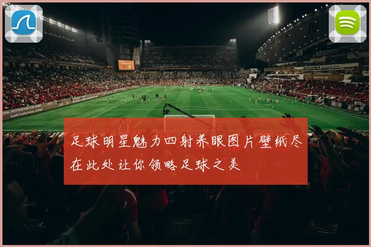 足球明星魅力四射养眼图片壁纸尽在此处让你领略足球之美