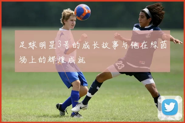 足球明星3号的成长故事与他在绿茵场上的辉煌成就