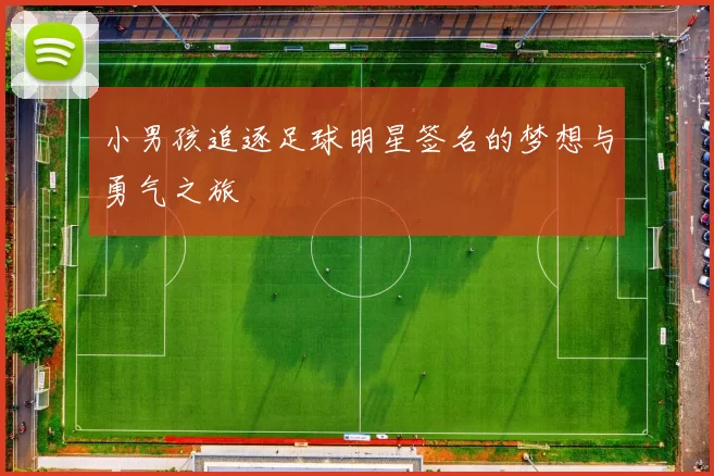 小男孩追逐足球明星签名的梦想与勇气之旅