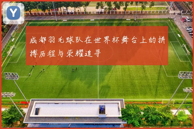 成都羽毛球队在世界杯舞台上的拼搏历程与荣耀追寻