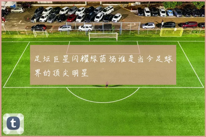 足坛巨星闪耀绿茵场谁是当今足球界的顶尖明星